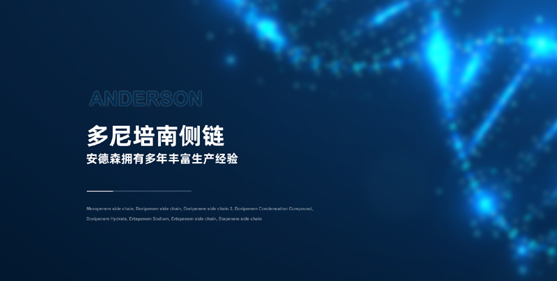 新乡市红旗区安德森化工有限公司