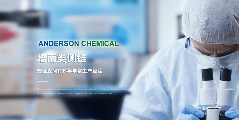 新乡市红旗区安德森化工有限公司