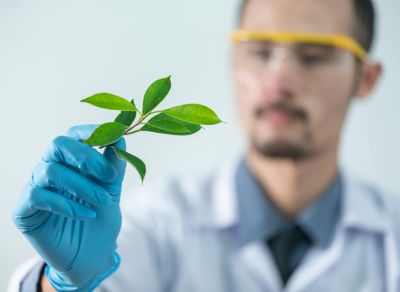 欢迎访问我们的官方网站